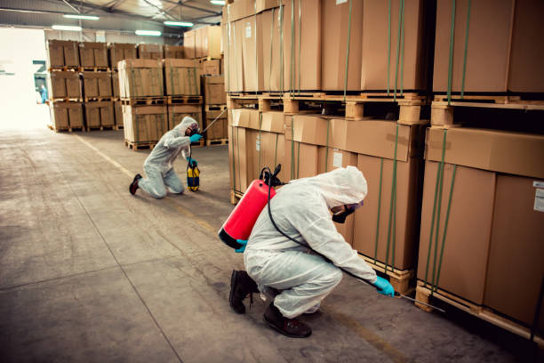 Best Pest Control Near Me  in China Grove, NC