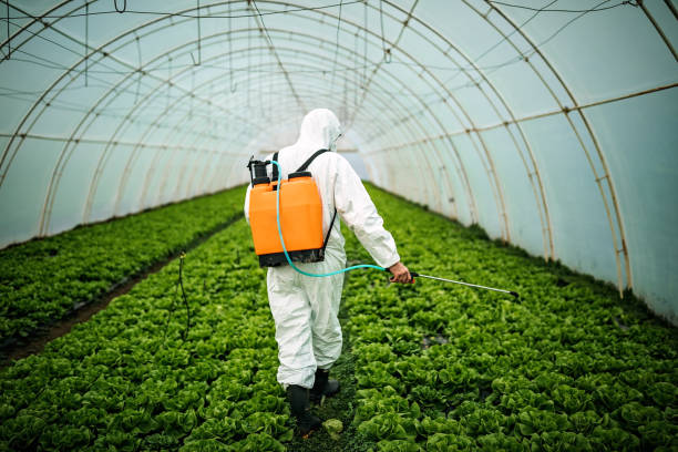 Best Residential Pest Control  in China Grove, NC