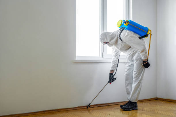 Pest Control for Restaurants in China Grove, NC