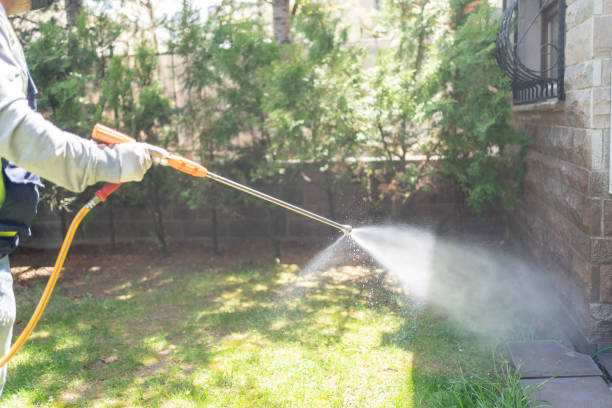 Professional Pest Control in China Grove, NC