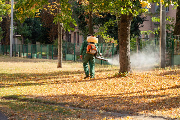 Best Affordable Pest Control Services  in China Grove, NC