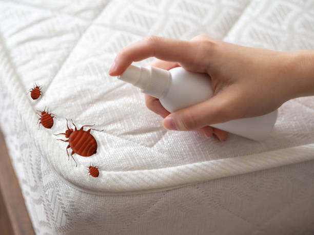 Best Affordable Pest Control Services  in China Grove, NC