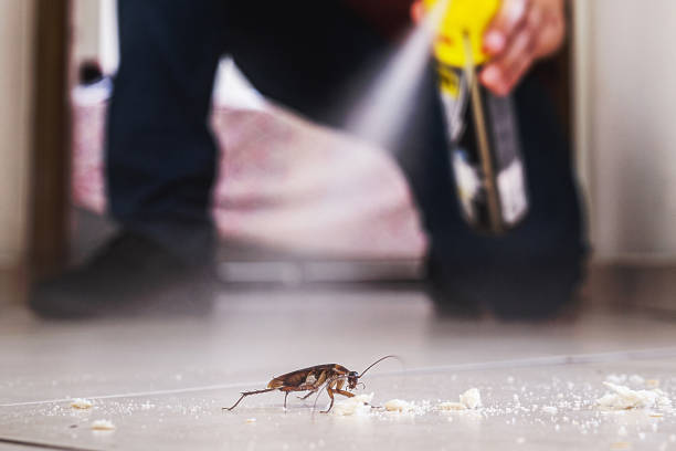 Best Emergency Pest Control  in China Grove, NC
