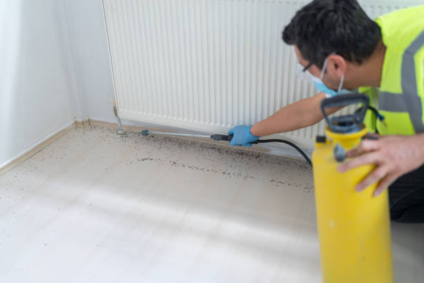 Best Commercial Pest Control Services  in China Grove, NC