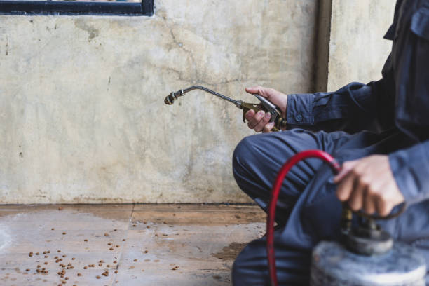 Best Best Pest Control Companies  in China Grove, NC